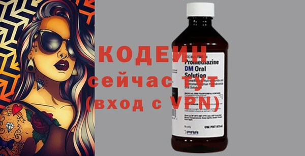 ГАЛЛЮЦИНОГЕННЫЕ ГРИБЫ Вяземский