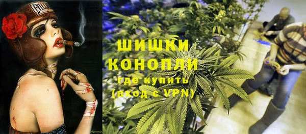 ГАЛЛЮЦИНОГЕННЫЕ ГРИБЫ Вяземский
