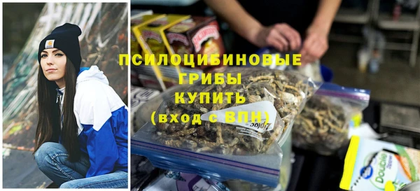 ГАЛЛЮЦИНОГЕННЫЕ ГРИБЫ Вяземский