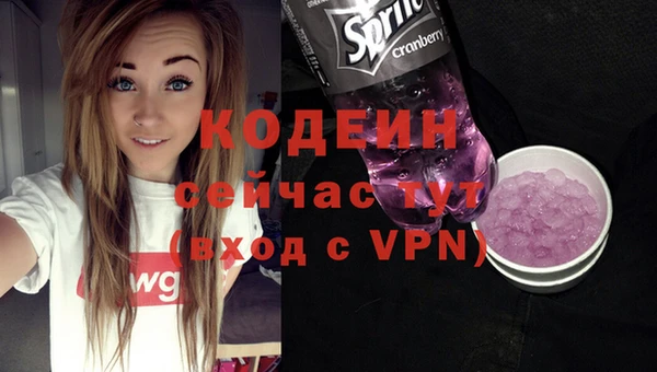 ГАЛЛЮЦИНОГЕННЫЕ ГРИБЫ Вяземский