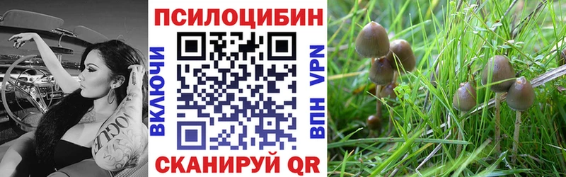 Псилоцибиновые грибы MAGIC MUSHROOMS закладки Ишим